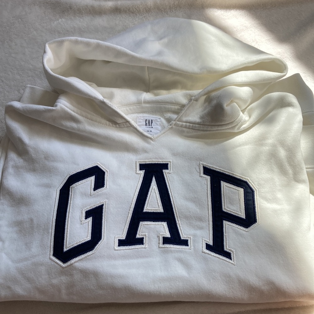 Gap Logic Hoodie